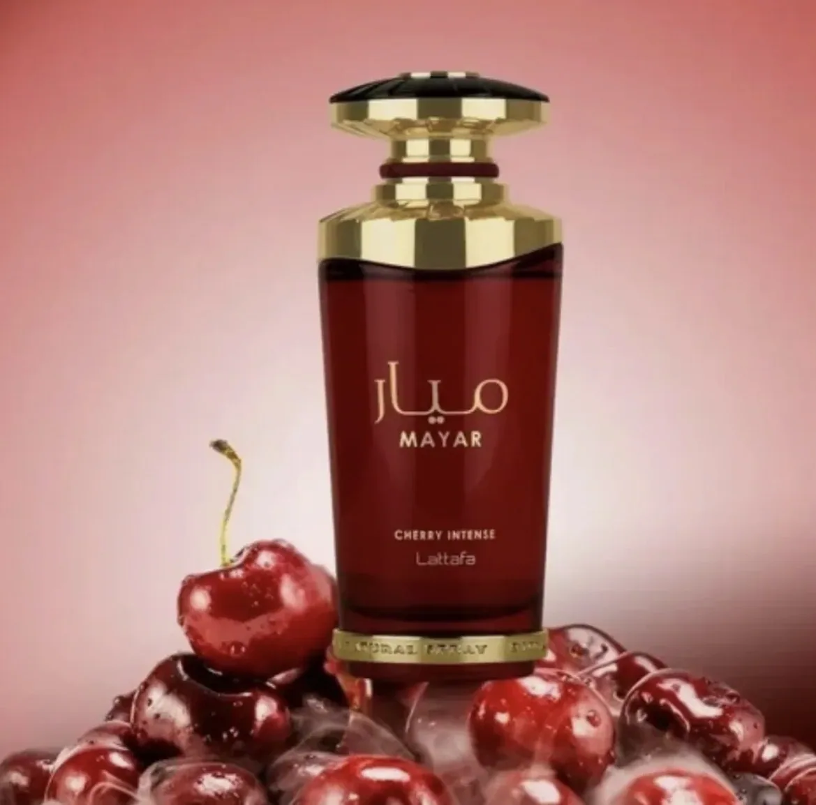 Mayar Cherry Intense